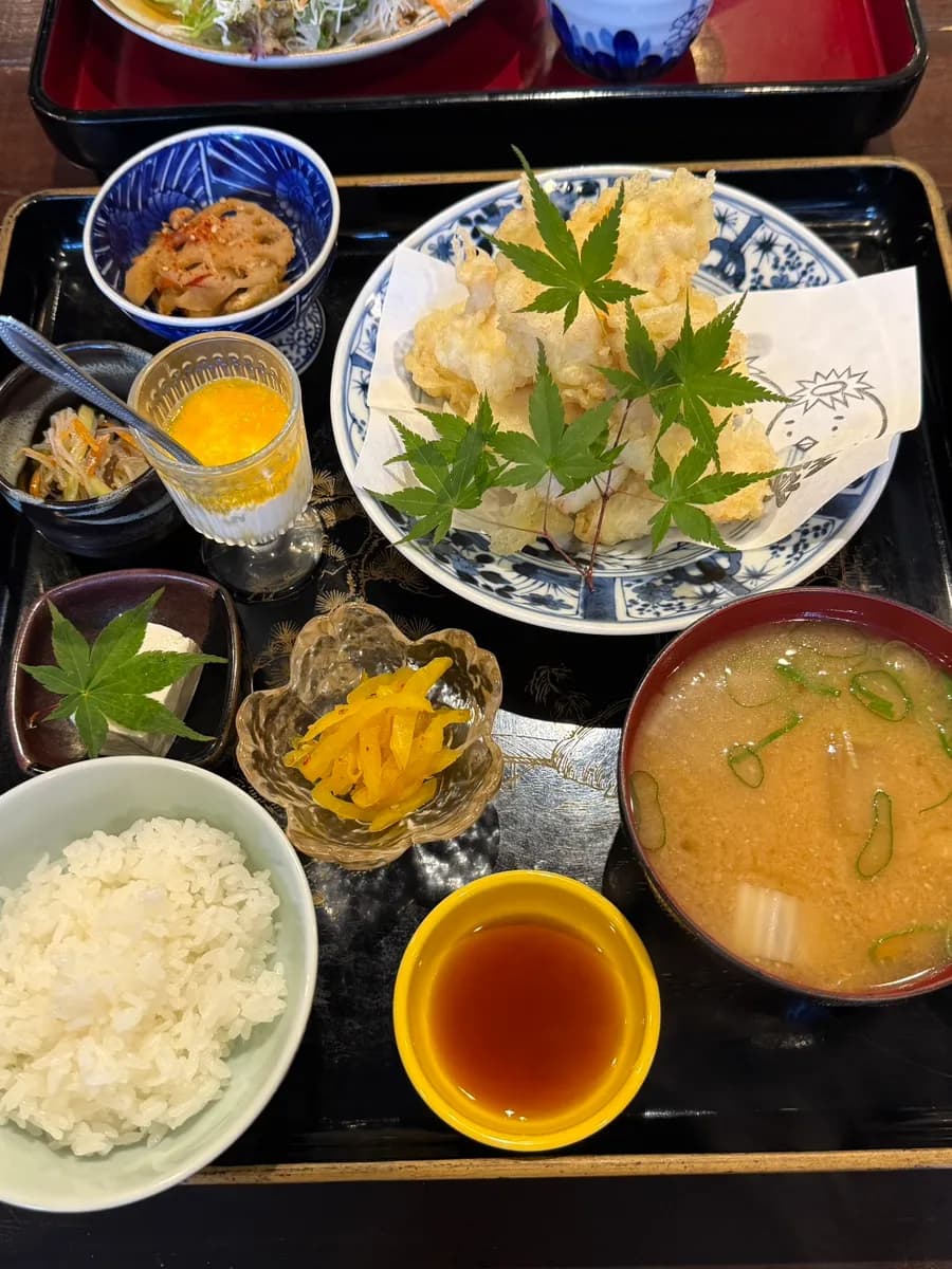 Hirekatsu set meal with sauce at Kappa Shokudo