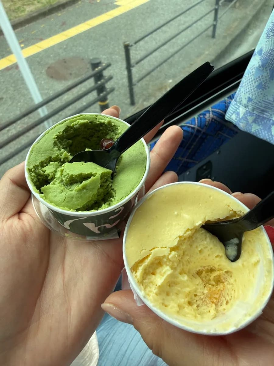 Cold cheesecake and pudding from Yufuin Milch after takeout