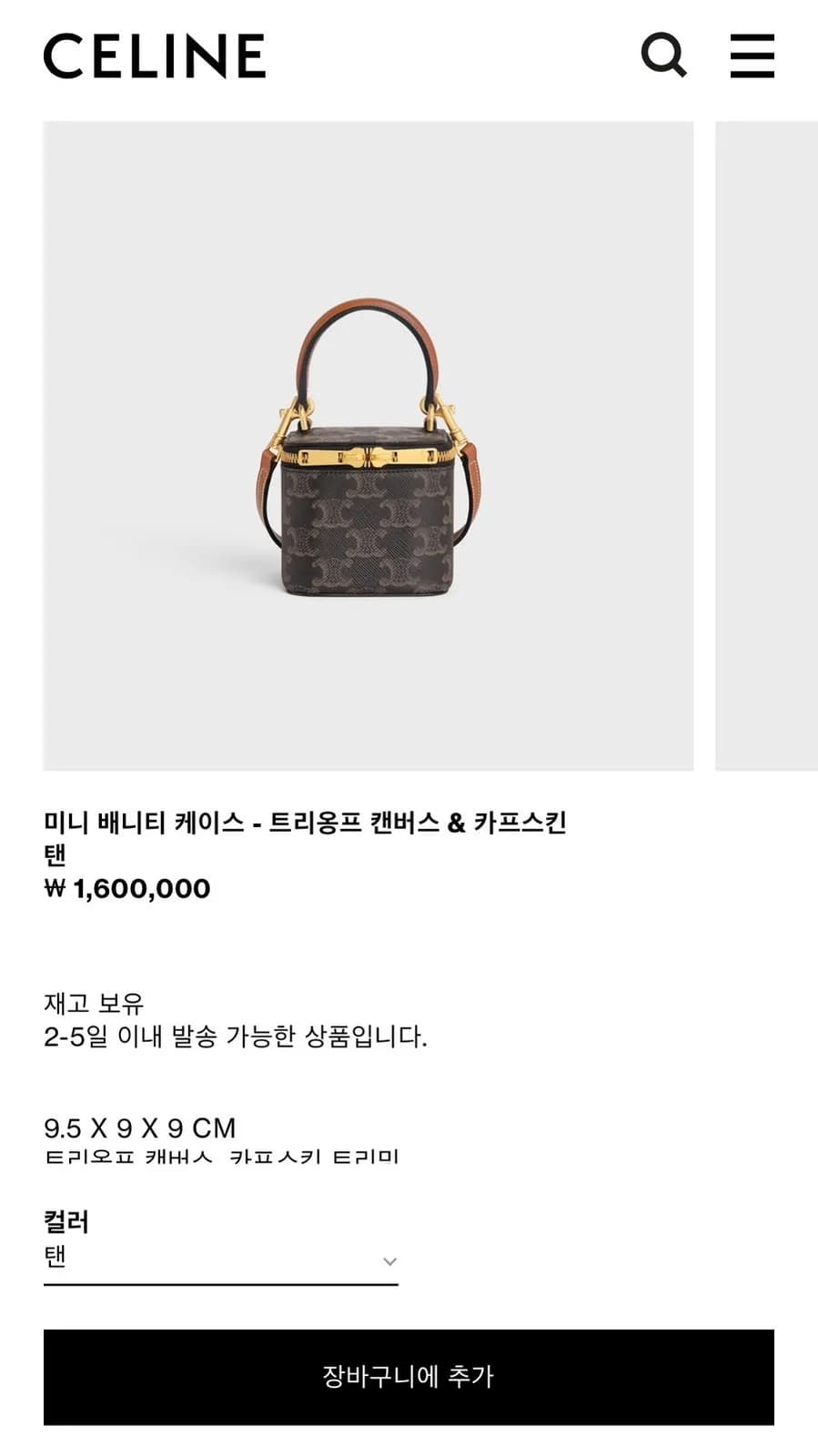 Galleria Gwanggyo Celine mini vanity case Tan color worn shot and storage review