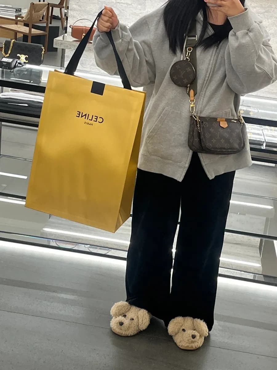 Galleria Gwanggyo Celine mini vanity case Tan color worn shot and storage review