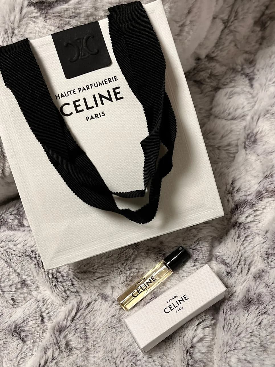 Galleria Gwanggyo Celine mini vanity case Tan color worn shot and storage review