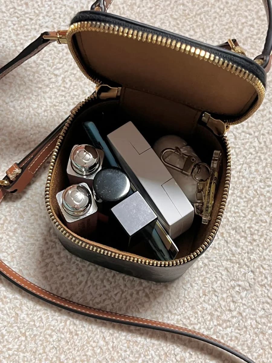 Galleria Gwanggyo Celine mini vanity case Tan color worn shot and storage review