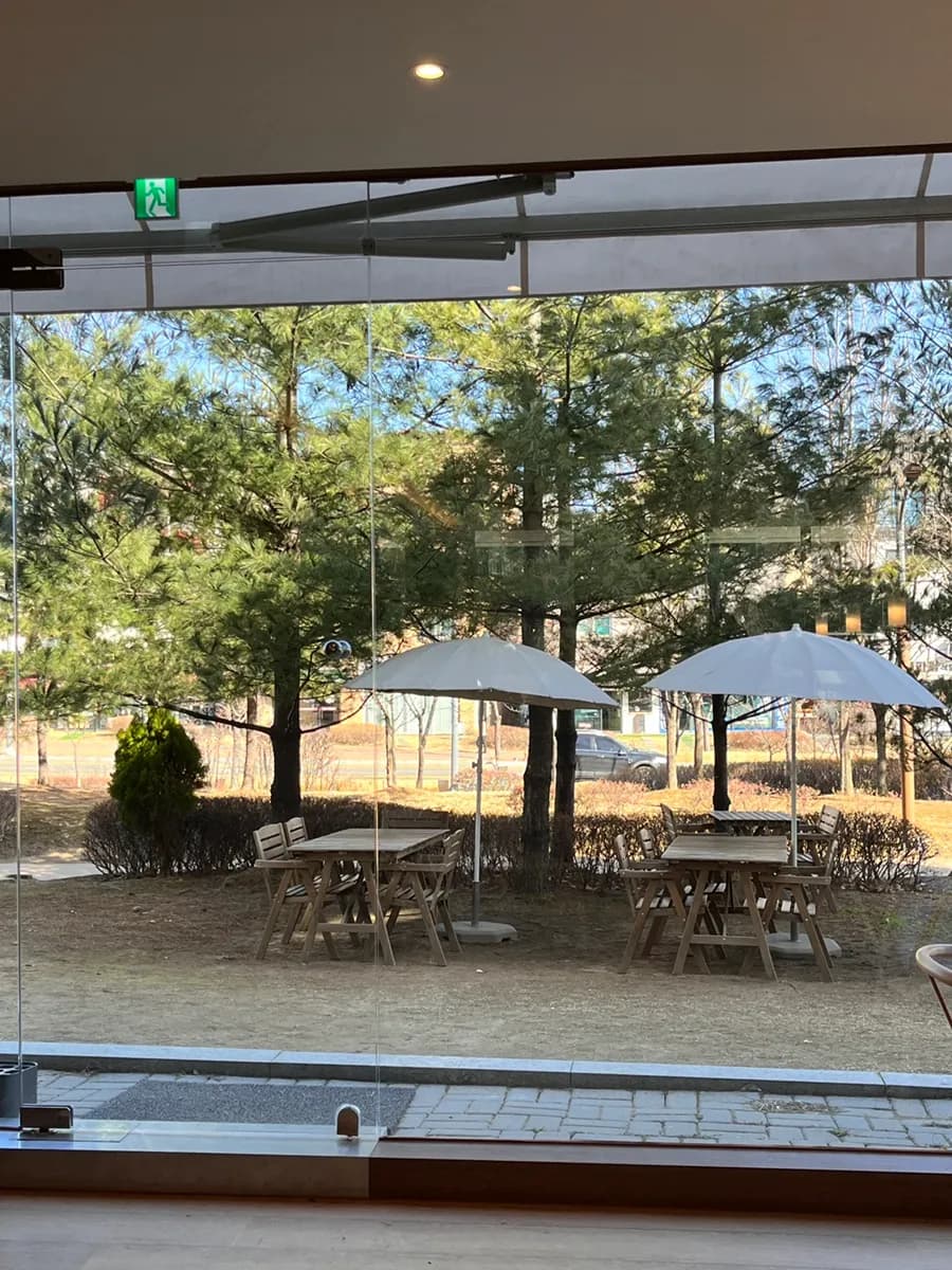 Sunny 4 p.m. view through large windows at Gravie cafe