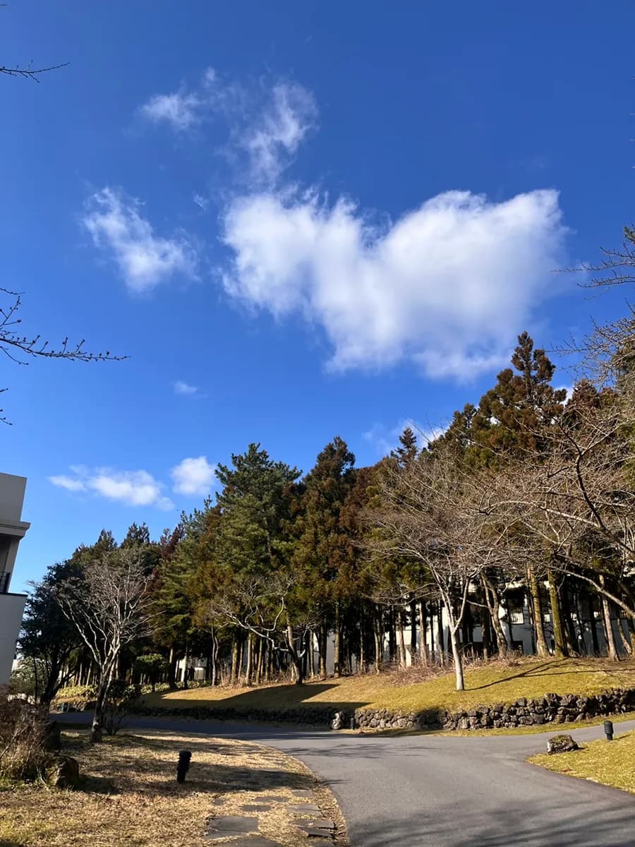 Jeju Seogwipo ; Nine Bridges | review ng condo stay 2 gabi 3 araw gamit ang cj employee benefit