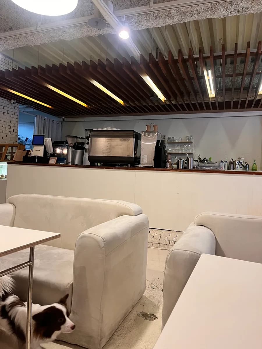 Diani Coffee Beomgye croffle cafe review body image 3