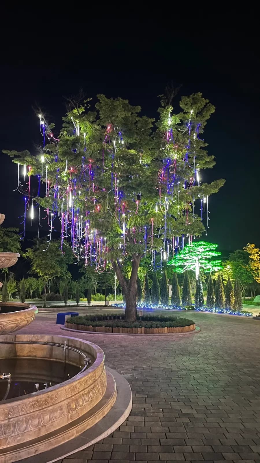 Photos d'avis du Yongin Birch Forest, de Cafe Betula, du restaurant Casa Fore et de la vue de nuit
