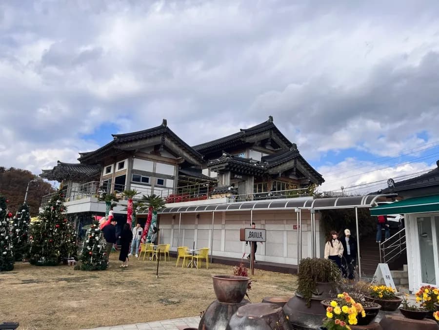 Gyeongju में कृत्रिम बर्फ गिरने वाला ट्री कैफे 'Basilla' - पढ़कर ही जाएं!