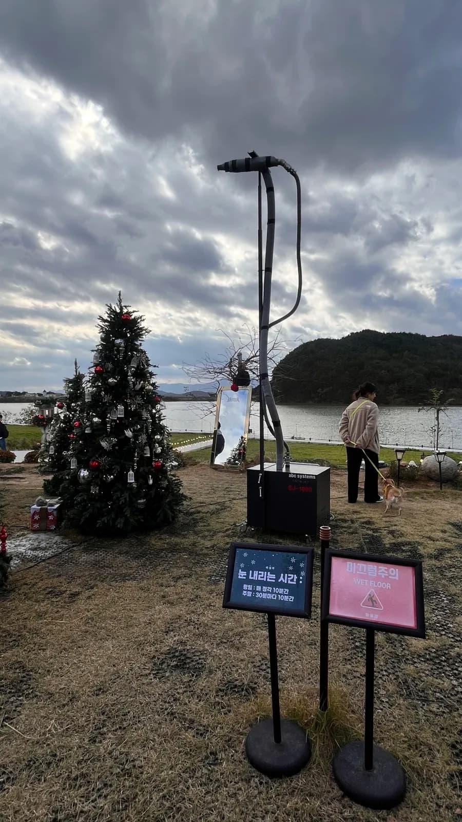 Gyeongju में कृत्रिम बर्फ गिरने वाला ट्री कैफे 'Basilla' - पढ़कर ही जाएं!