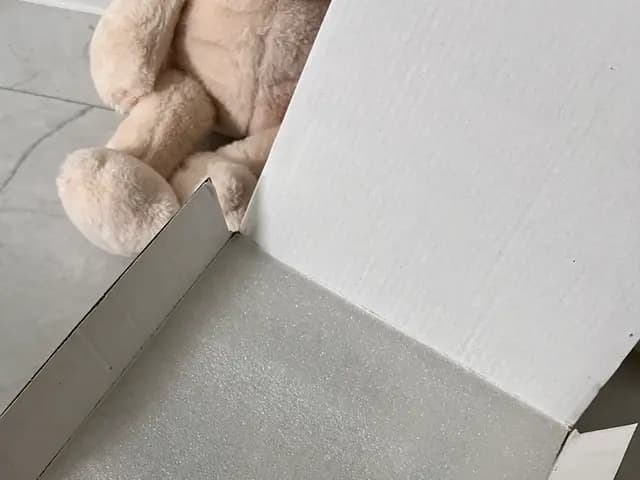 Pembungkusan span yang teliti untuk mug Gromit