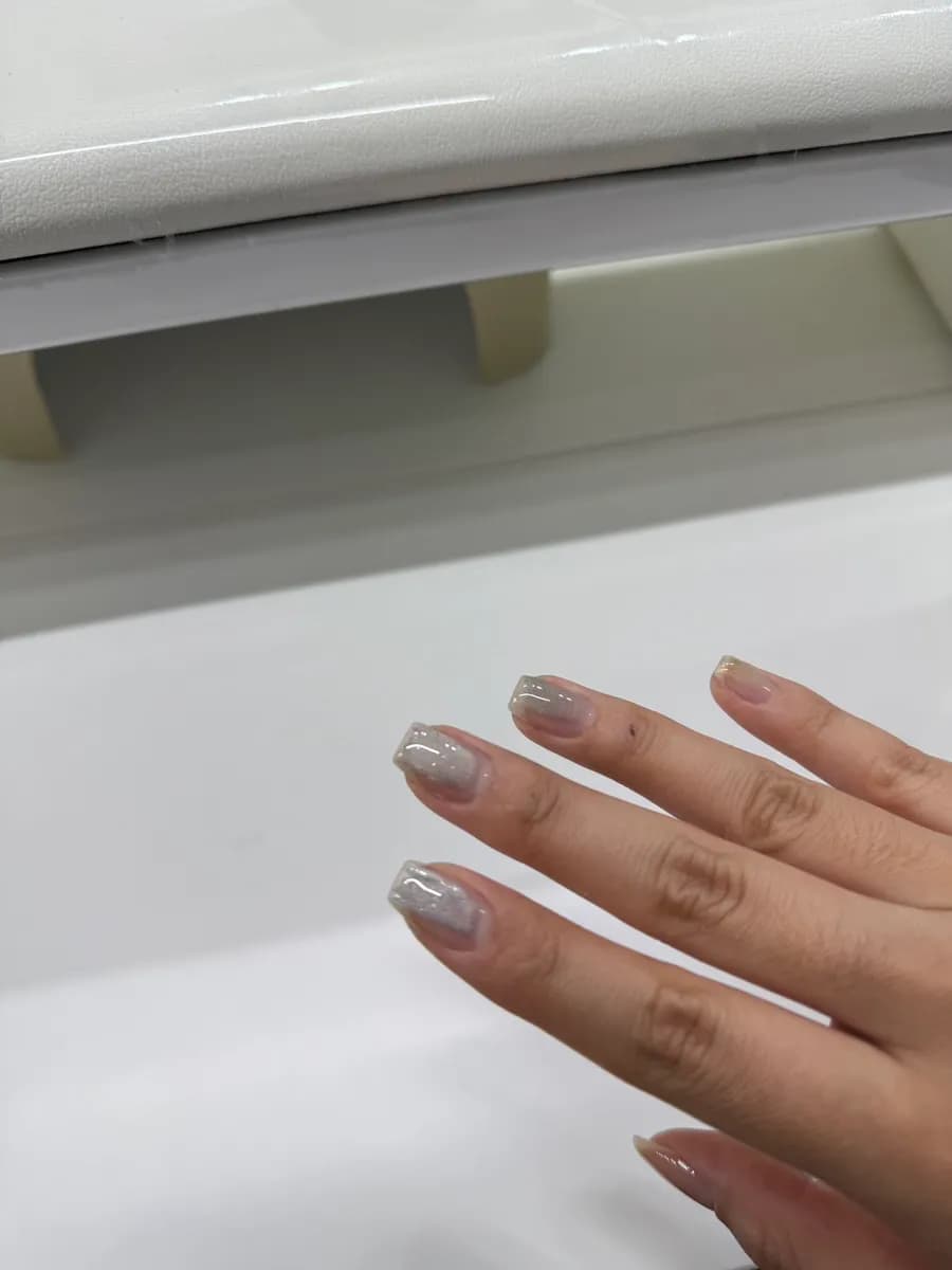 Pilihan gel magnetik di Nail Roy