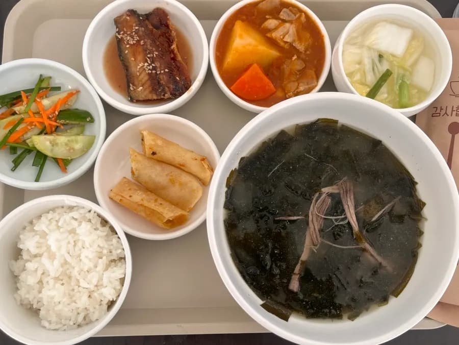 Plateau-repas OB-GYN avec riz au mapo tofu, maquereau teriyaki, poulet braisé à la rose et accompagnements