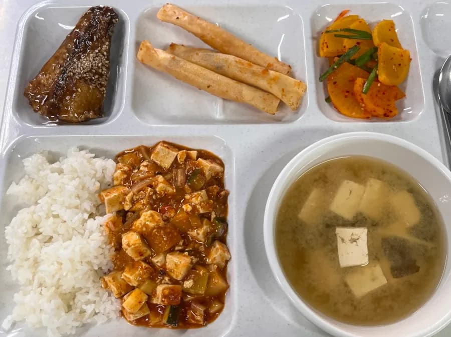 Plateau-repas OB-GYN avec riz au mapo tofu, maquereau teriyaki, poulet braisé à la rose et accompagnements