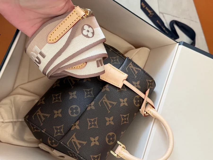 Louis Vuitton Cluny Mini styling and department store purchase review