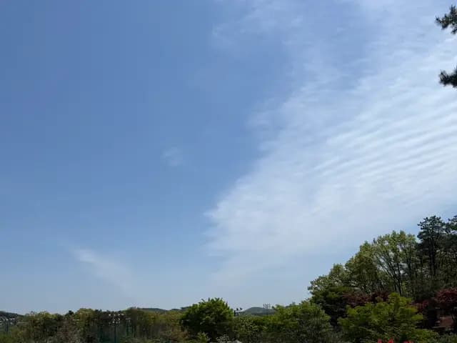 서울근교 당일 글램핑 김포 뚜바뚜바 셀프캠핑 후기
