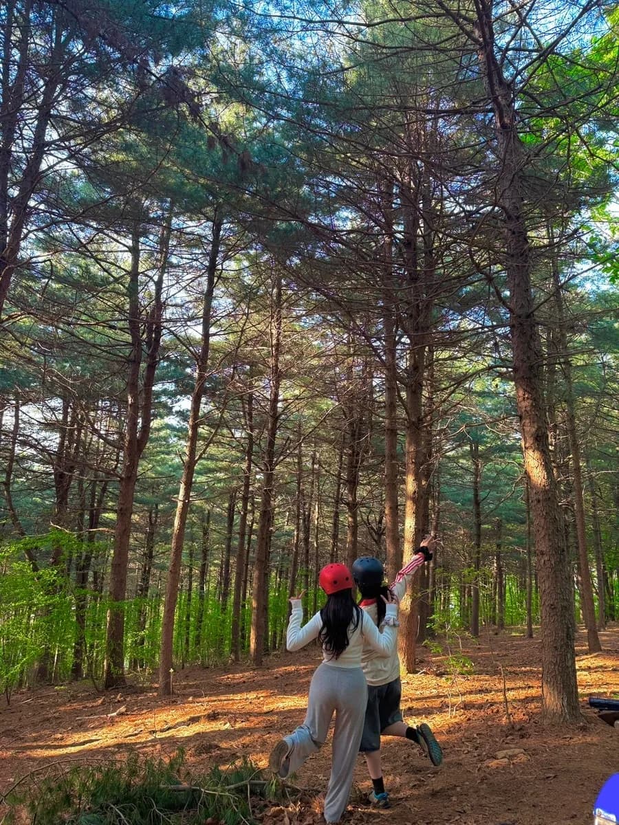 Ganghwa Nature Experience Farm visit for ATV riding and animal feeding in Incheon