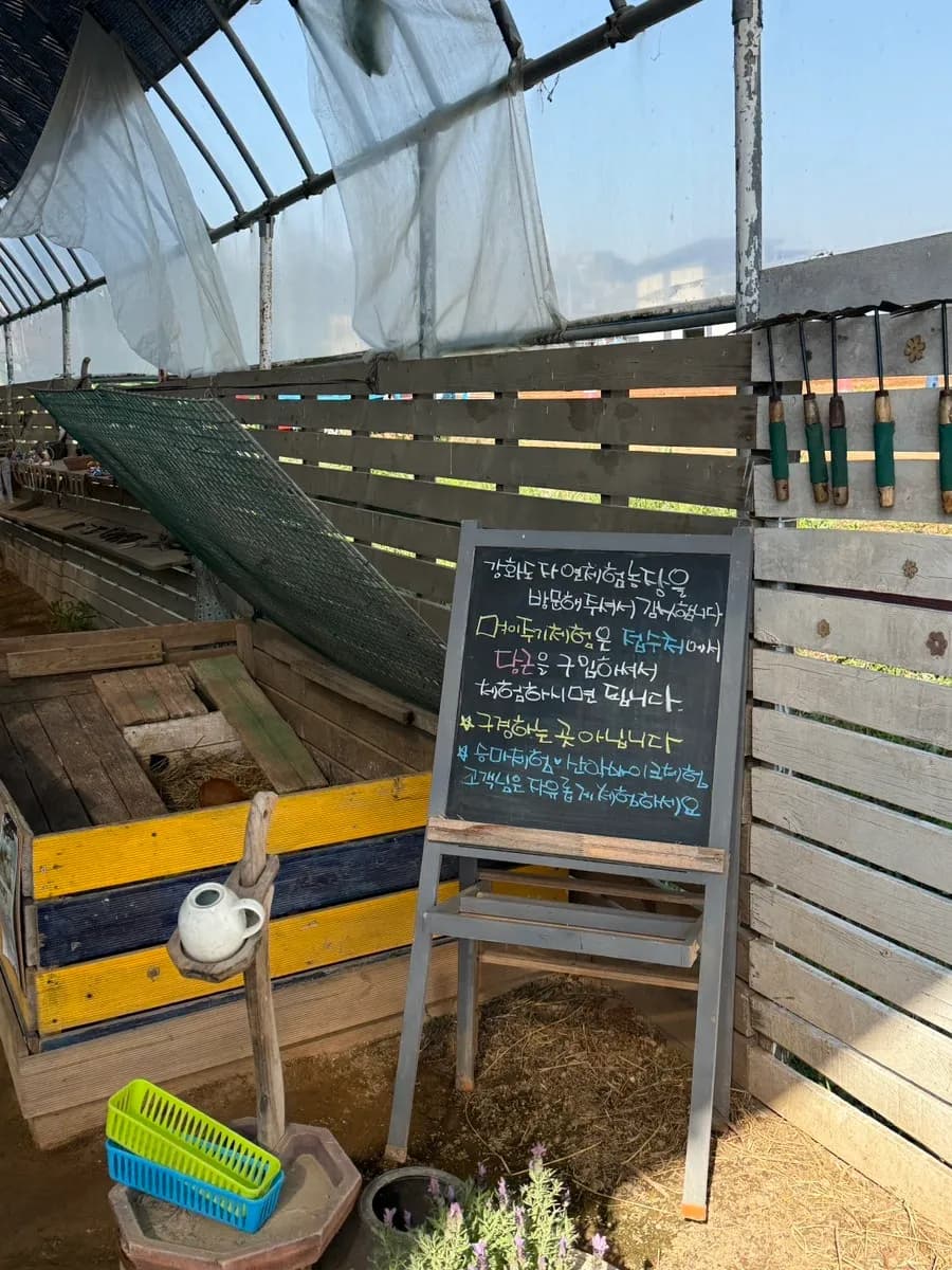 Counter area with snacks and ramen during the wait at Nature Experience Farm