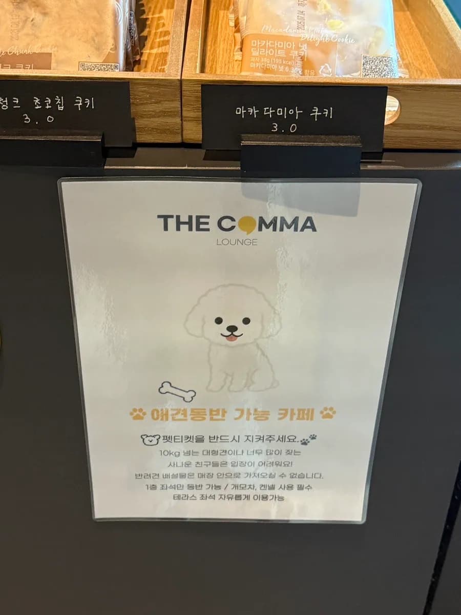 경기도 심야카페 추천 편한 소파 자리 많은 광명 대형카페 더콤마라운지