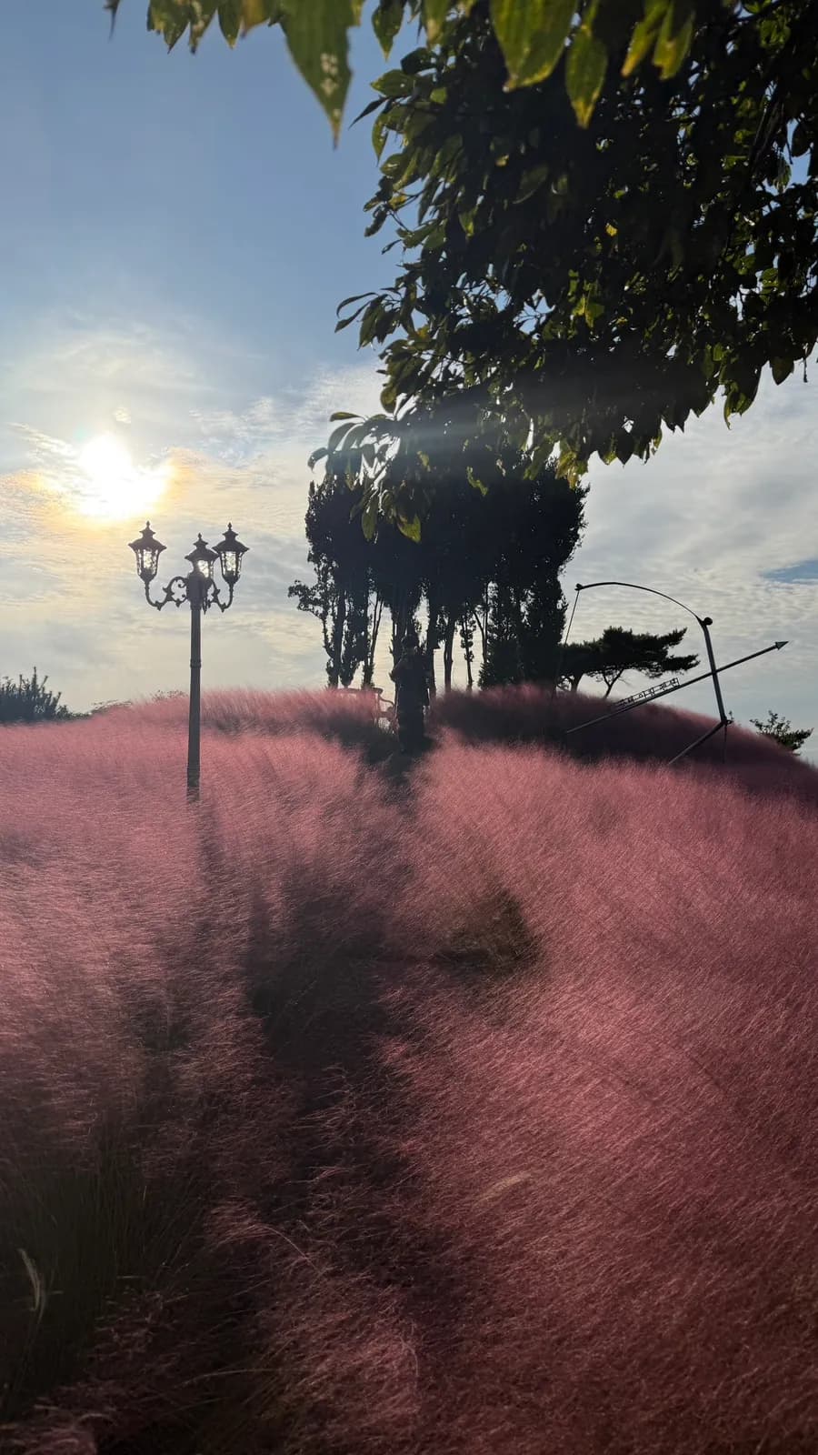Review ng pension sa Anmyeondo, Taean na nagpapakita ng pink muhly at mga amenity sa stay
