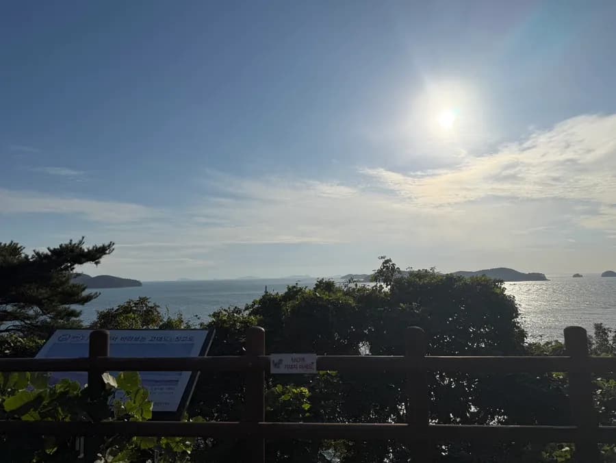 Tahimik na walking area ng pink muhly sa lupang pag-aari ng pension sa Taean