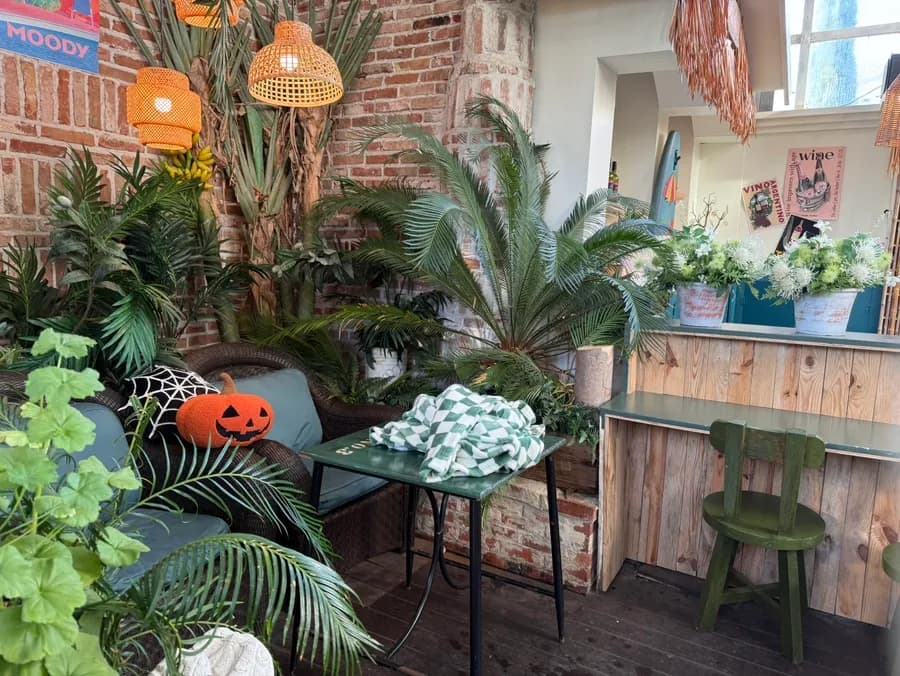Greenhouse entrance na may screen door sa Mediterranean Morning Pension