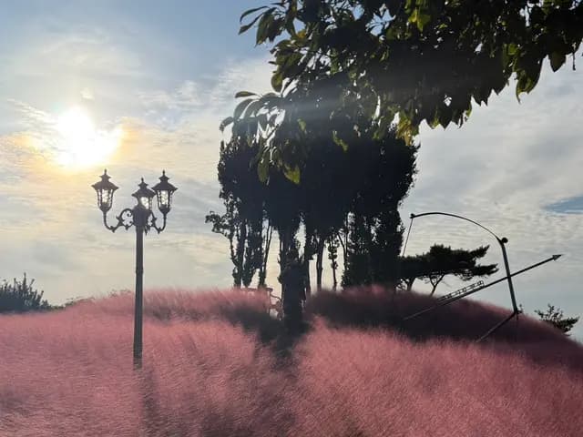 Review ng pension sa Anmyeondo, Taean na nagpapakita ng pink muhly at mga amenity sa stay