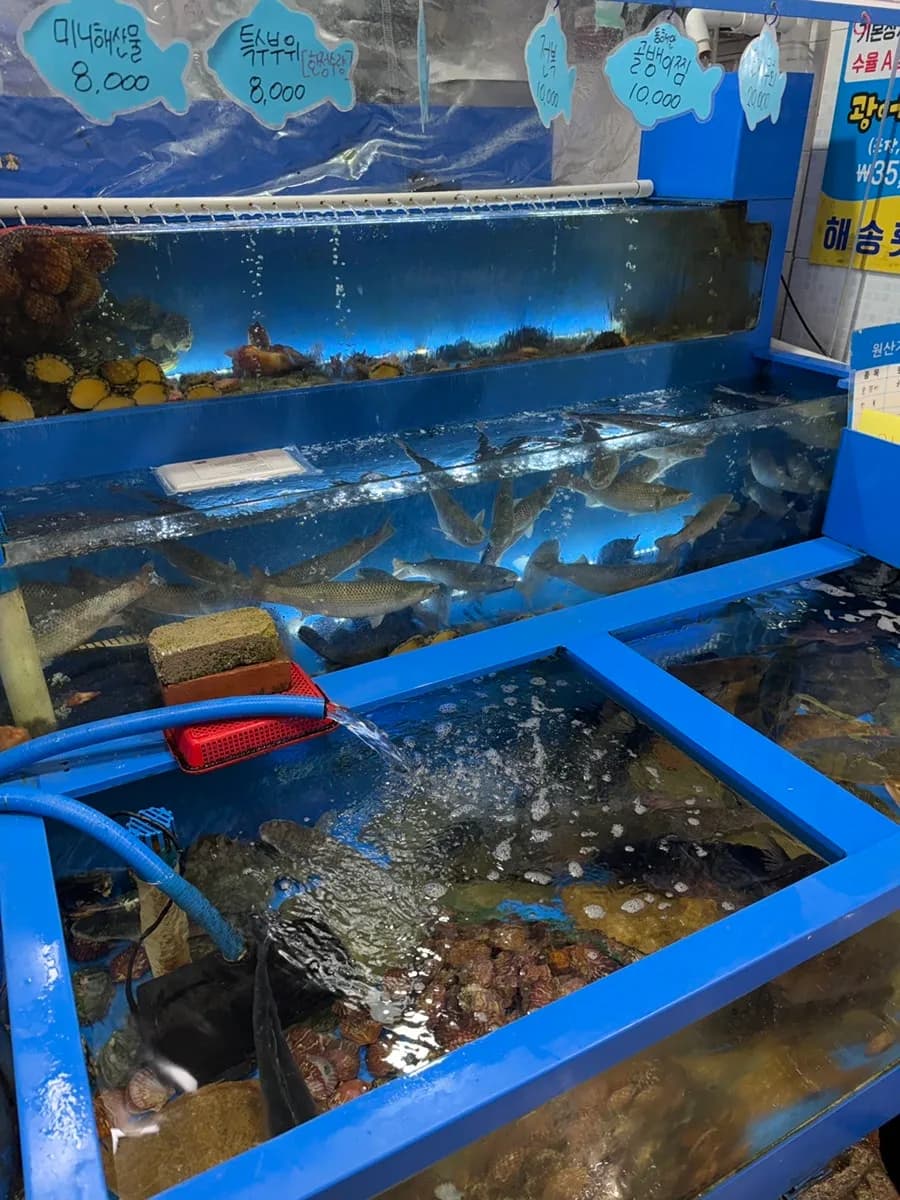 Seafood segar dipajang di depan Haesong Hoetjip di Pasar Ikan Jumunjin