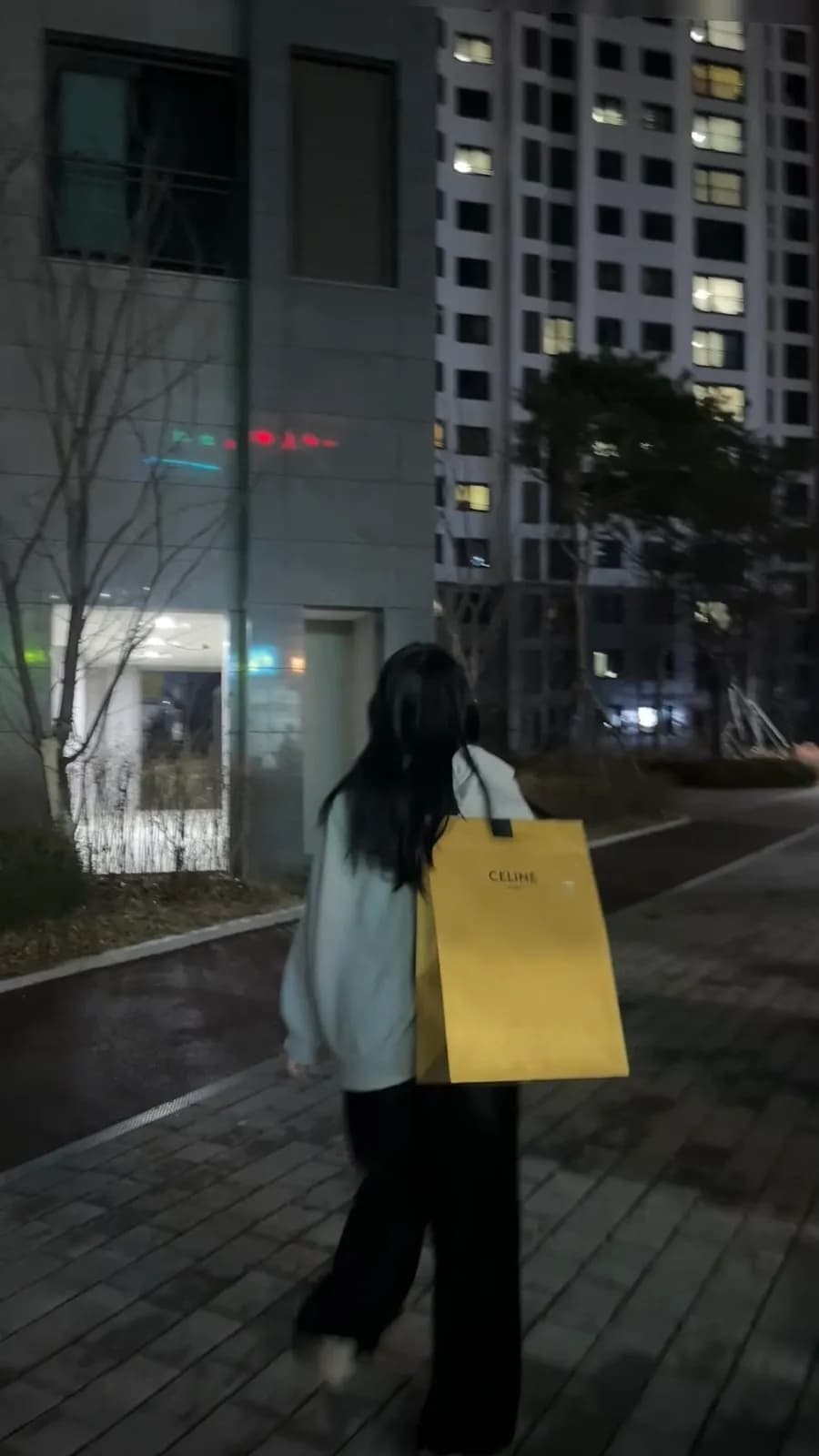Galleria Gwanggyo Celine mini vanity case Tan color worn shot and storage review