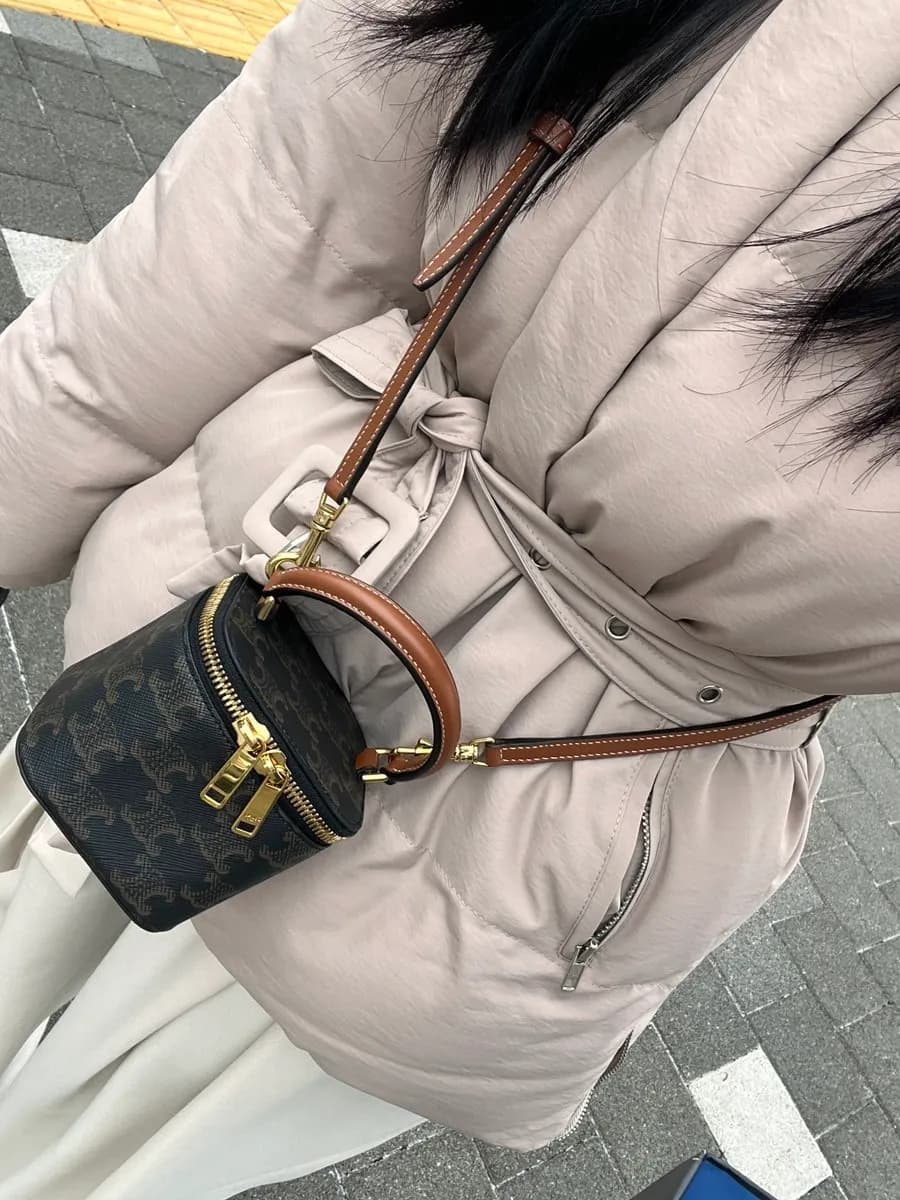 Galleria Gwanggyo Celine mini vanity case Tan color worn shot and storage review