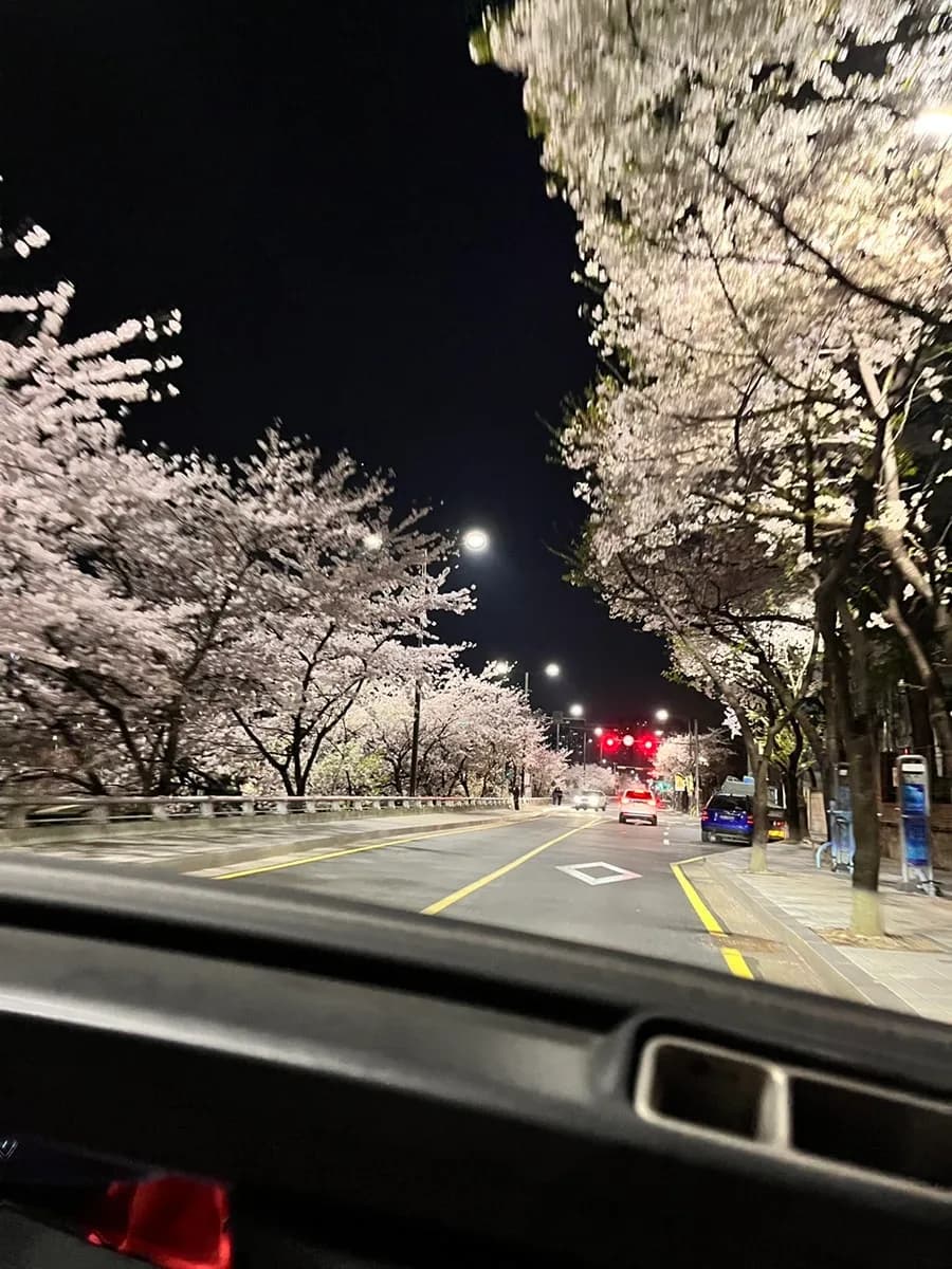 Шөнийн Anyangcheon интоорын цэцгийн зам, гудамжны гэрэл ба тайван зураг авах цэгүүдтэй