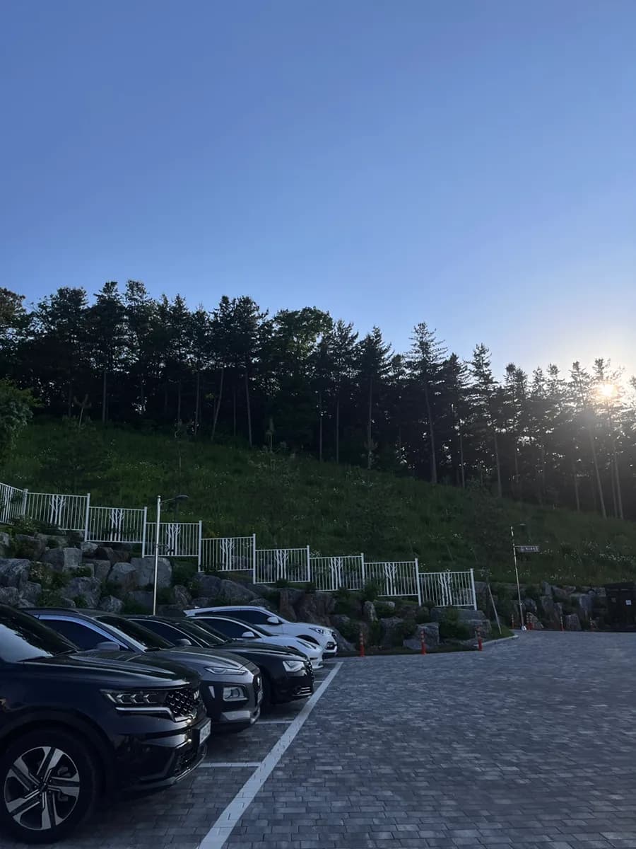 Photos d'avis du Yongin Birch Forest, de Cafe Betula, du restaurant Casa Fore et de la vue de nuit