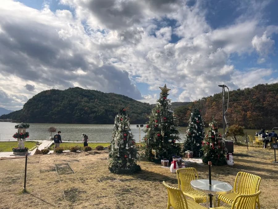 Gyeongju में कृत्रिम बर्फ गिरने वाला ट्री कैफे 'Basilla' - पढ़कर ही जाएं!